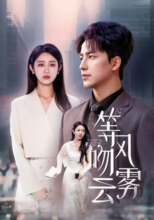 赘婿2 剧集 2025 邓科